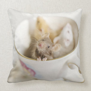 Coussin Trois petites souris