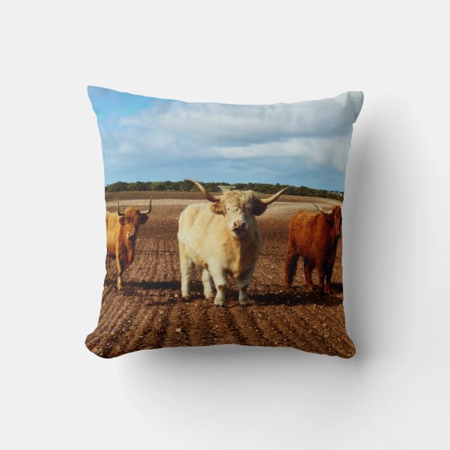 Coussin Trois Vaches Vilaines Des Highlands, (Recto)