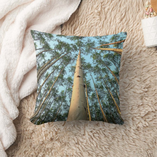 Coussin Troncs Et Feuilles D'Aspen, Yukon (Couverture)