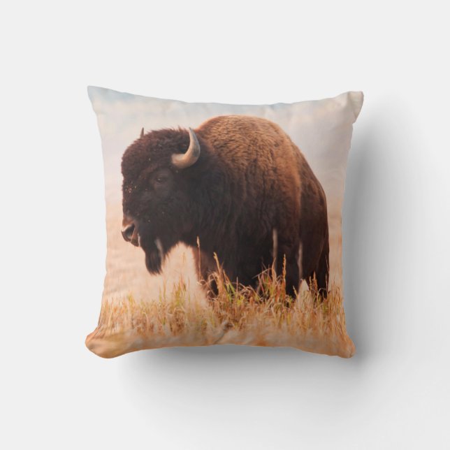 Coussin Troupeau De Bison Américain (Bison Bison) À Teton  (Recto)