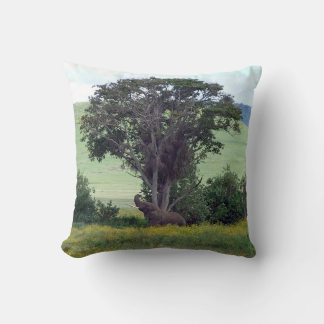 Coussin Trunk to the Breeze - Ngorongoro African Elephant (Recto)