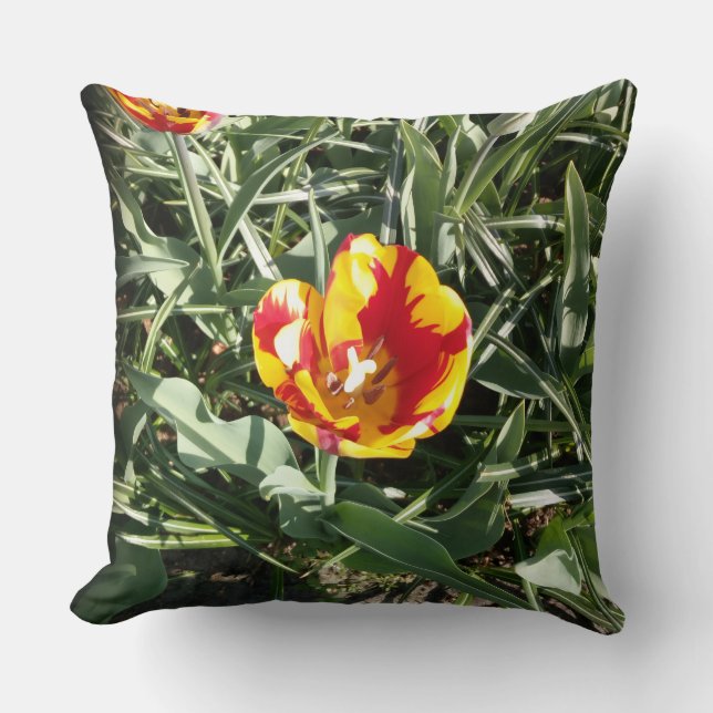Coussin Tulipe  (Recto)
