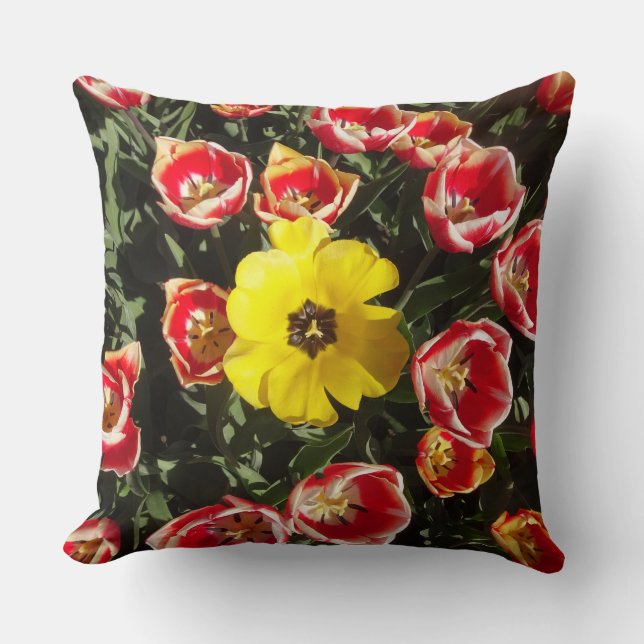 Coussin Tulipe jaune dans le champ de Tulipes rouges Jeter (Recto)