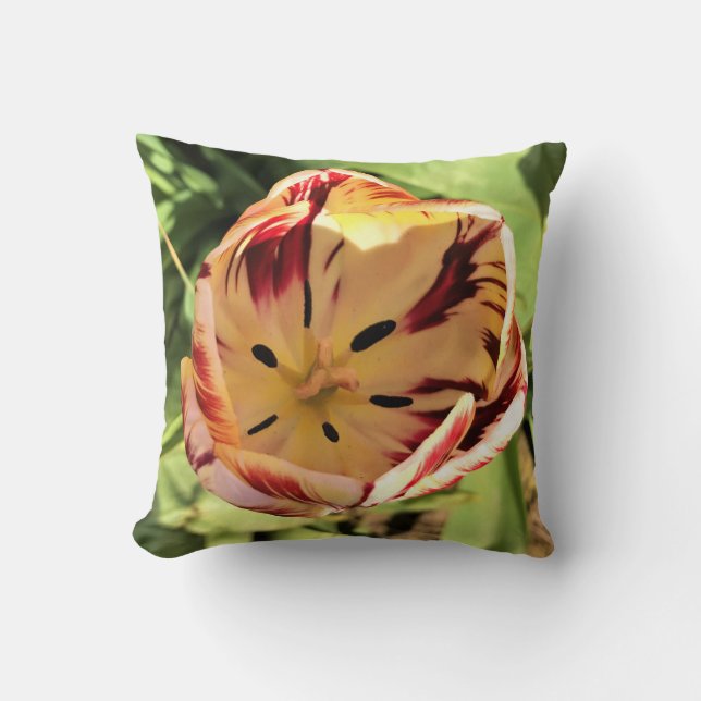 Coussin Tulipe rouge et blanche à l'intérieur (Recto)