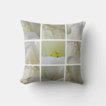 Tulipes blanches au carré - Photographie d'art