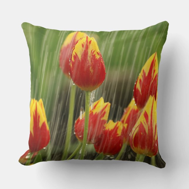 Coussin Tulipes de ressort (Recto)