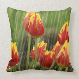 Coussin Tulipes de ressort