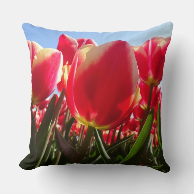 Coussin Tulipes Rouges Ensoleillées Près De L'Oreiller (Recto)