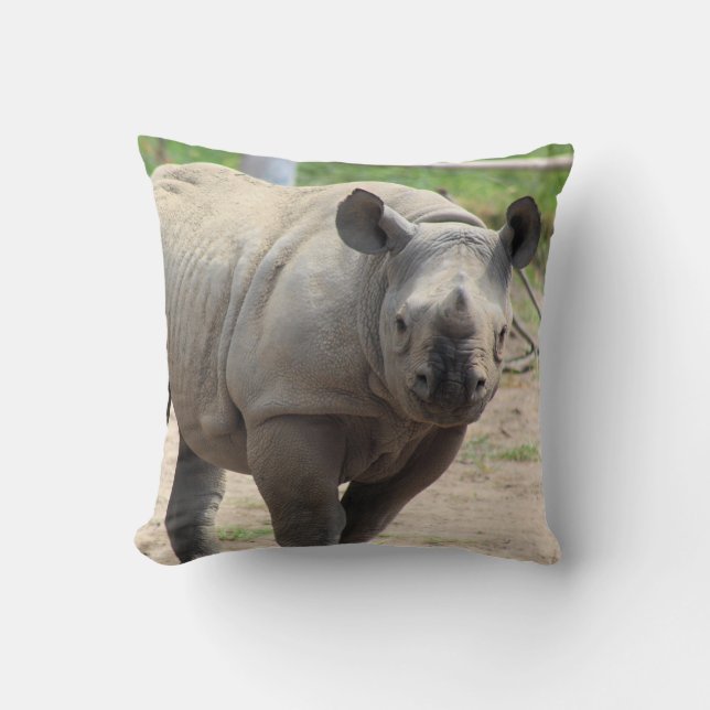 Coussin Tumani  (Recto)