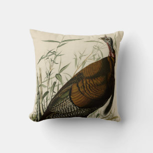 Coussin Turquie sauvage (mâle) des oiseaux d'Amérique d'Au