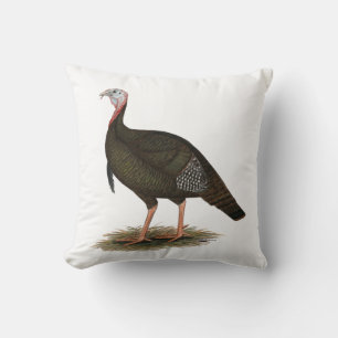 Coussin Turquie : Tom sauvage de l'Est