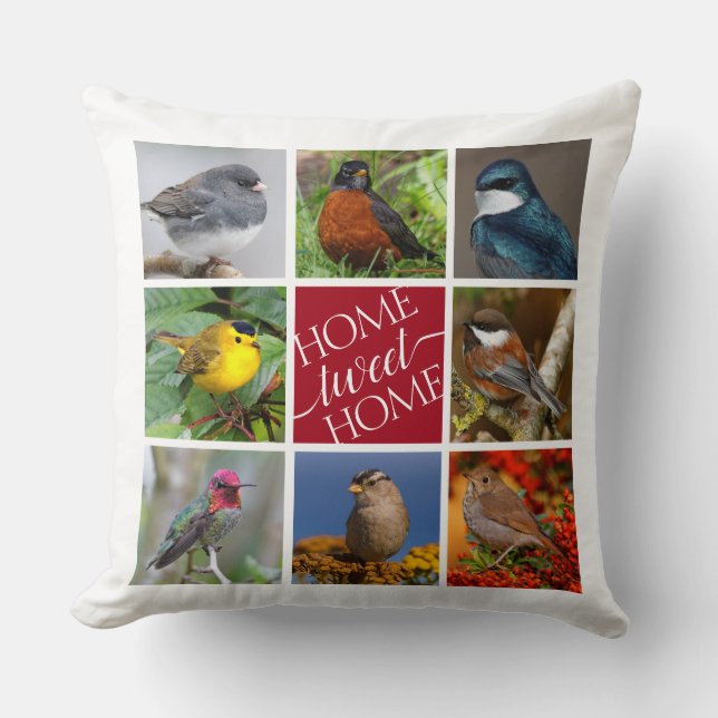 Coussin Tweet Accueil 8 Oiseaux chanteurs américains 8 Col (Recto)