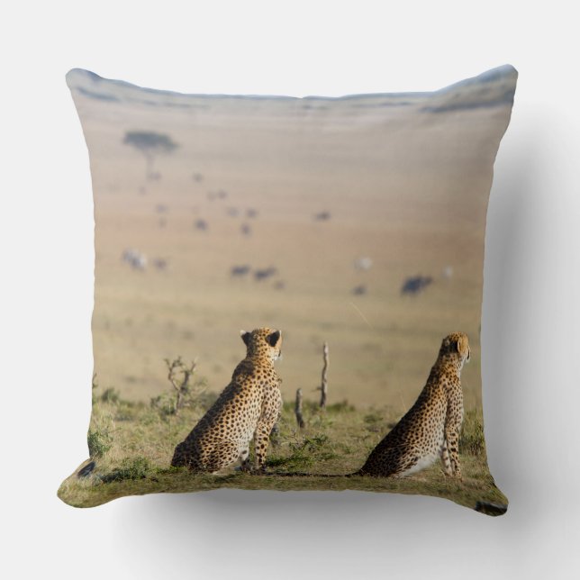 Coussin Two cheetahs on the look out (Recto)