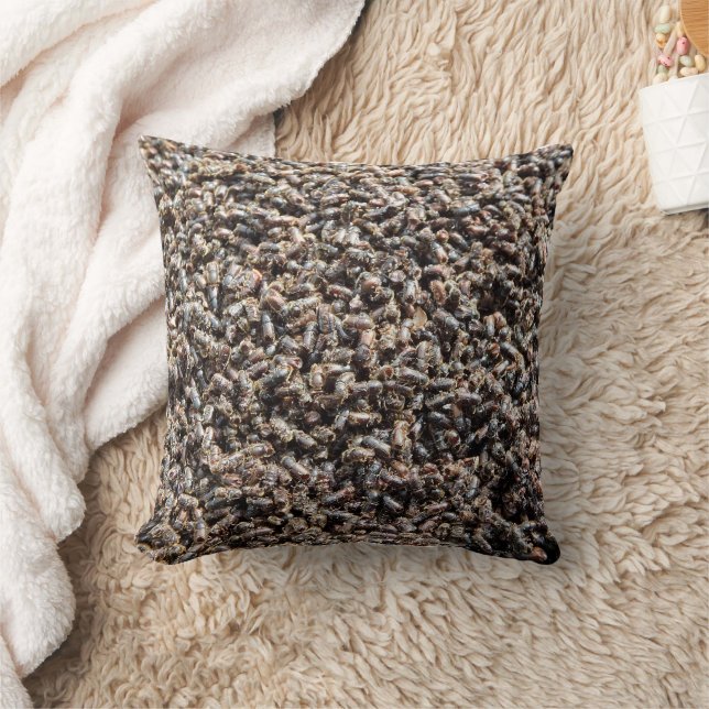 Coussin Typographe (Couverture)