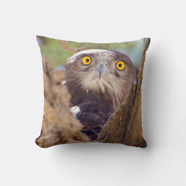 Coussin Un Aigle serpentaire à poitrine blanche (Recto)