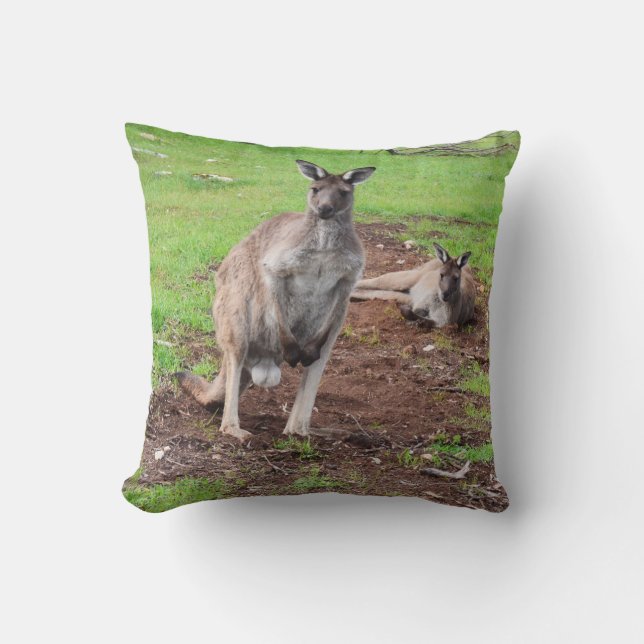 Coussin Un Australien, Buck Kangaroo, Throw Cushion. (Recto)