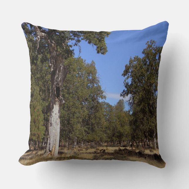 Coussin Un autre beau jour.... (Recto)