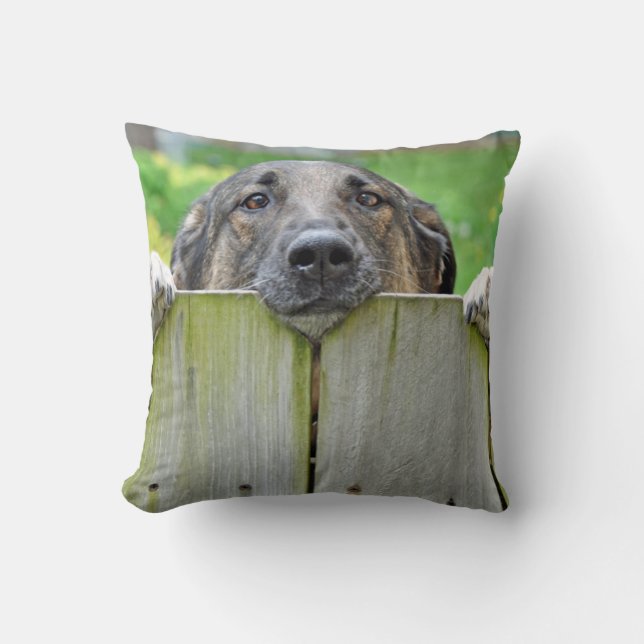 Coussin Un berger allemand regarde la clôture (Recto)