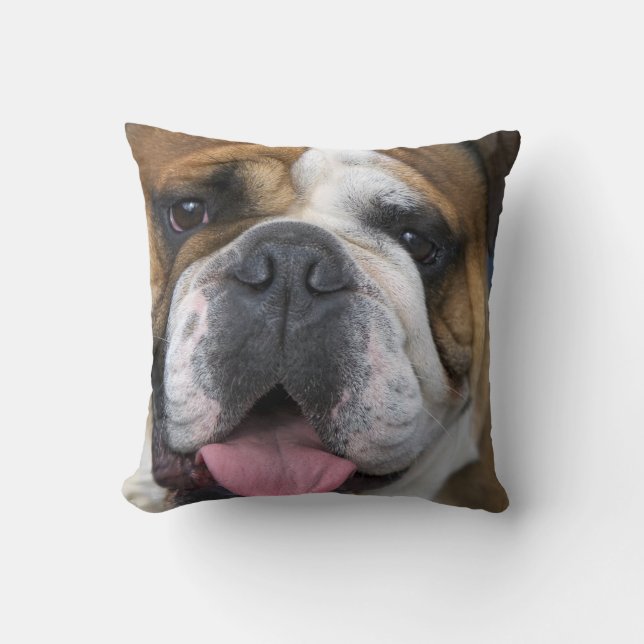 Coussin Un bouledogue anglais en Belgique (Recto)