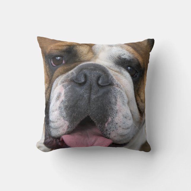 Coussin Un bouledogue anglais en Belgique. (Recto)