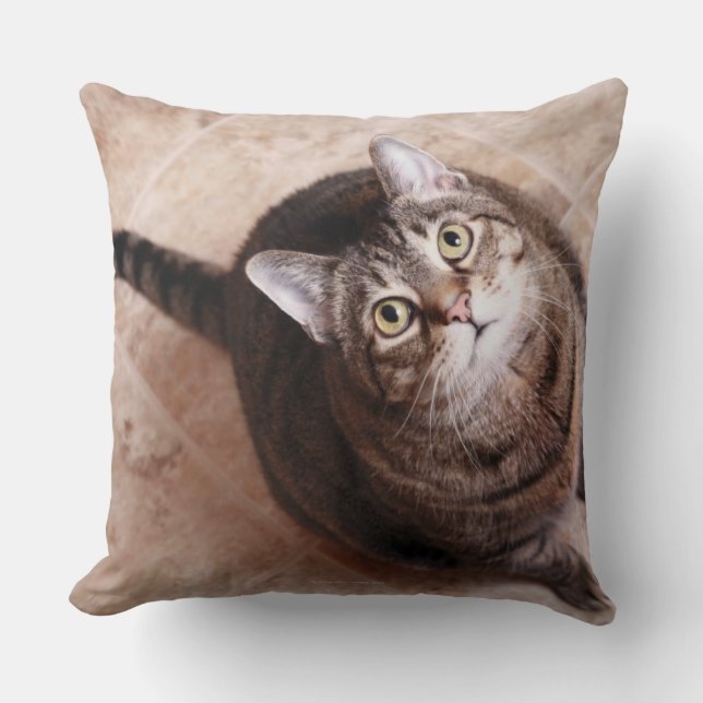 Coussin Un chat tigré recherchant (Recto)