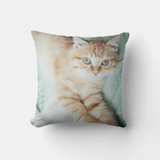 Coussin Un chaton d'or de couleur se couchant (Recto)