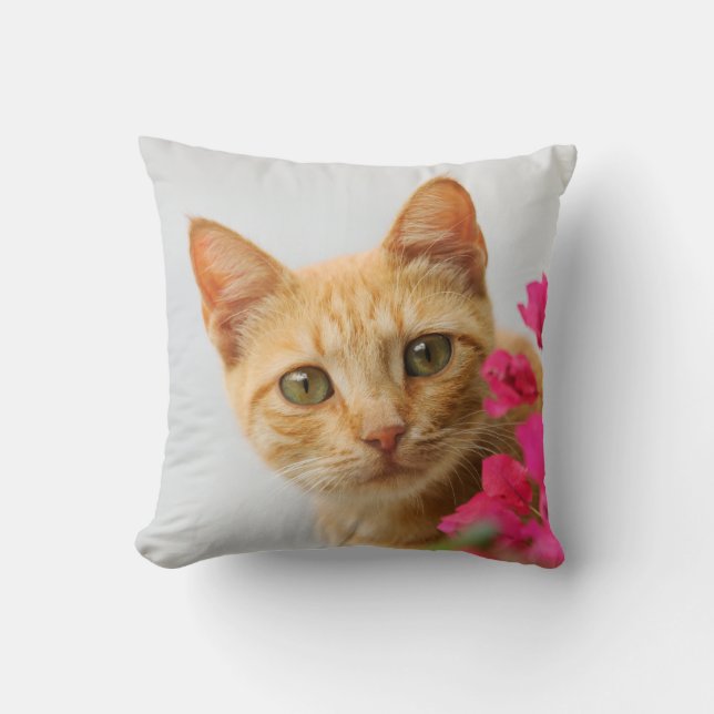 Coussin Un chaton tigré rouge mignon vous observe (Recto)