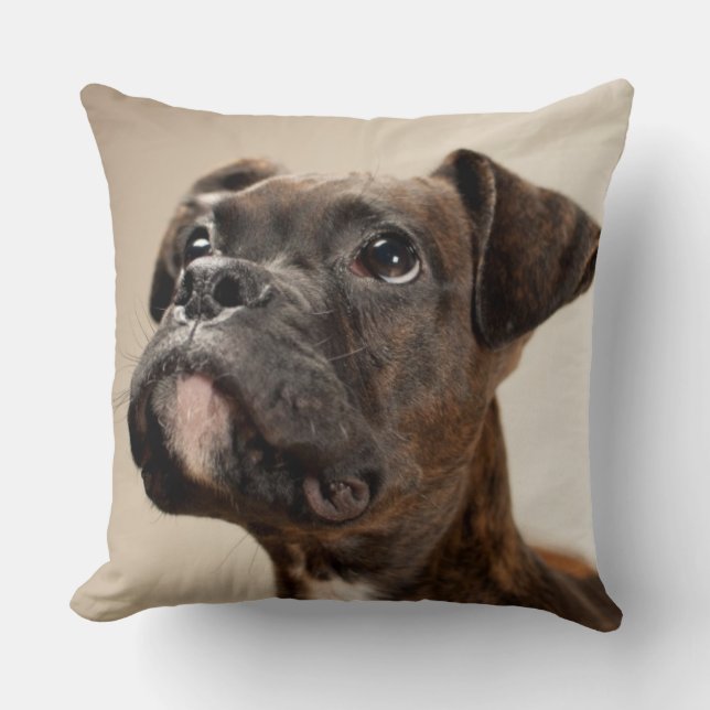 Coussin Un chiot Brindle de boxeur recherchant (Recto)
