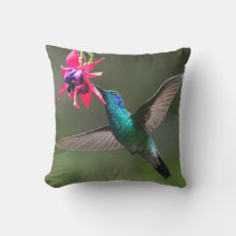 Un colibri à gorge violette en vol