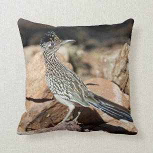 Coussin Un coureur de route interrompt momentanément sa re