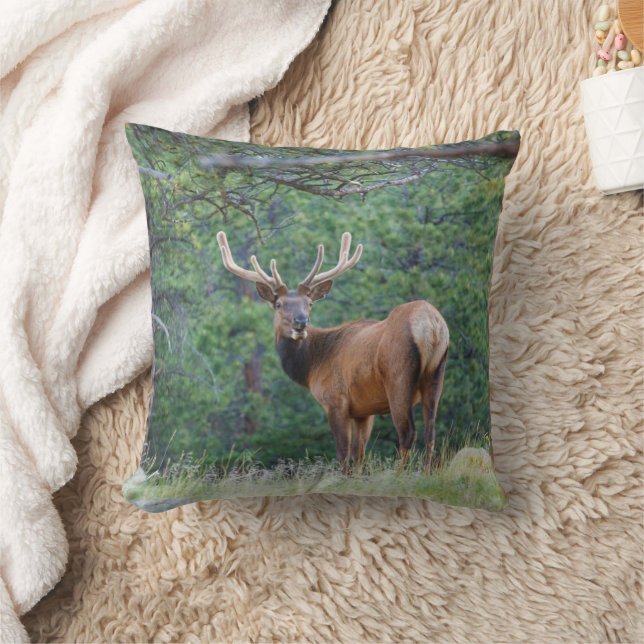 Coussin Un Elk regarde en arrière | Montagnes Rocheuses (Couverture)