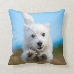 Coussin Un fonctionnement des montagnes occidental mignon