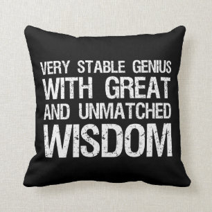 Coussin Un Génie Très Stable Avec Une Grande Sagesse Inéga