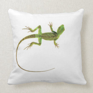Coussin Un lézard sur la terre blanche pure