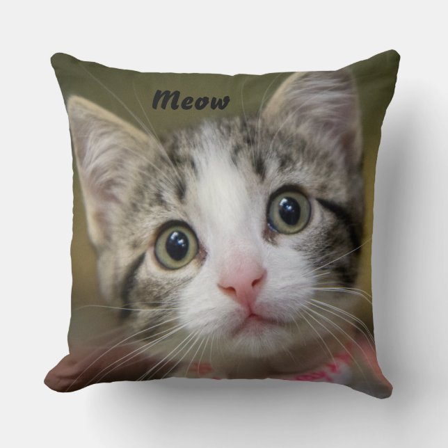 Coussin Un mignon chaton aux yeux verts (Recto)