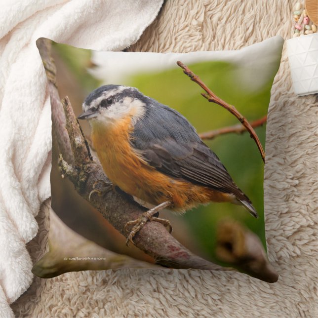 Coussin Un Nuthatch à poitrine rouge sceptique (Couverture)