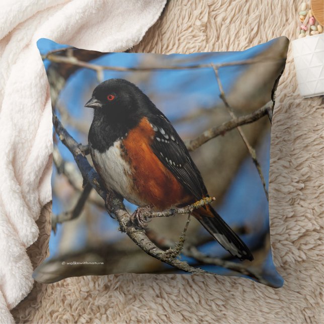 Coussin Un oiseau-chanteur tacheté à la pointe du cou dans (Couverture)