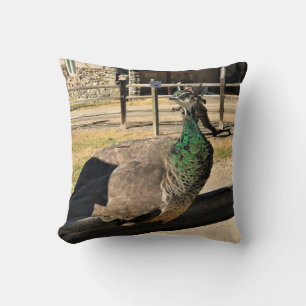 Coussin Un paon sur une clôture, Idaho