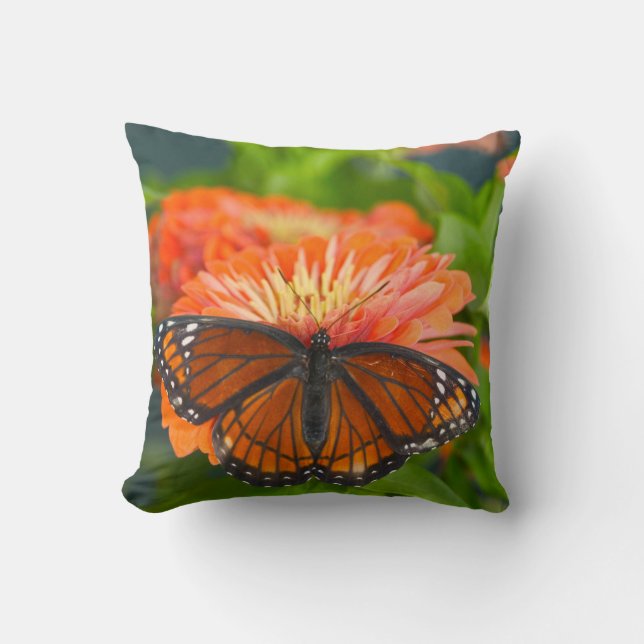 Coussin Un papillon Monarque sur des zinnias orange (Recto)