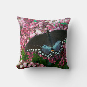 Coussin Un papillon soufre   Dans la famille Phoebis