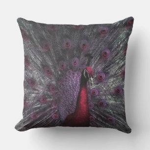 Coussin Un Peacocks Belles Plumes Ouvertes