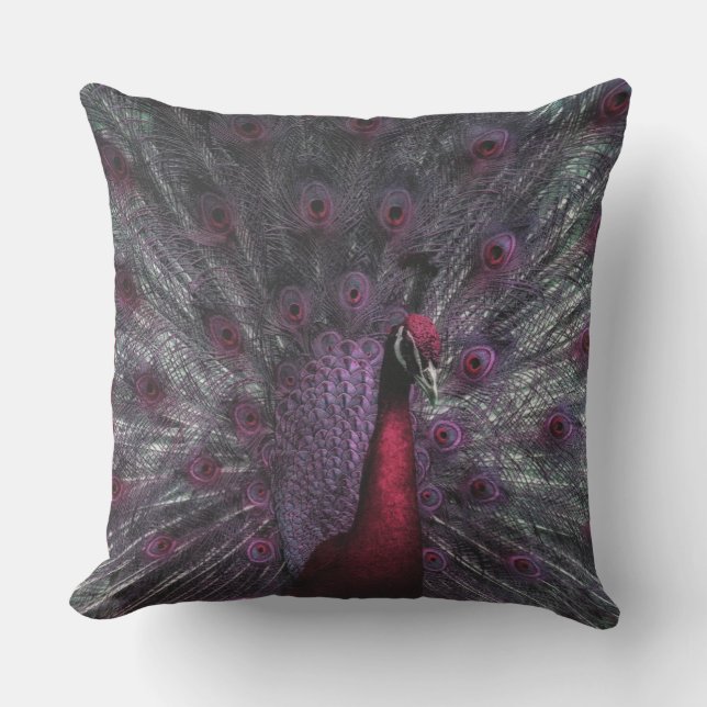 Coussin Un Peacocks Belles Plumes Ouvertes (Recto)