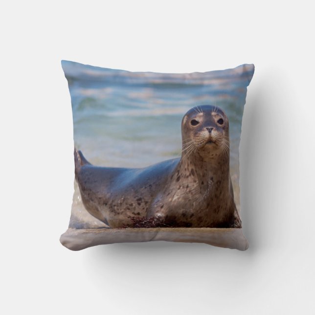 Coussin Un phoque sur une plage le long de la côte Pacifiq (Recto)
