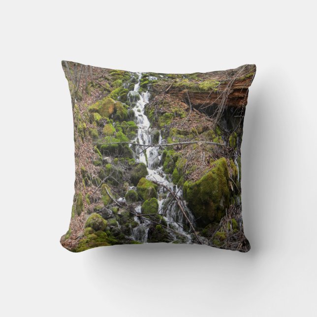 Coussin Un printemps frais... (Recto)