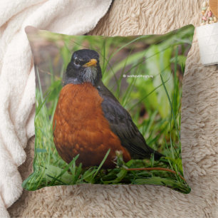 Coussin Un robot américain curieux et plein d'espoir