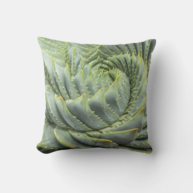 Coussin Un Succulent vert et blanc (Recto)