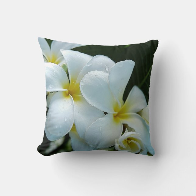 Coussin Uncluttered Elegance: The White Franjipani Flower (Recto)