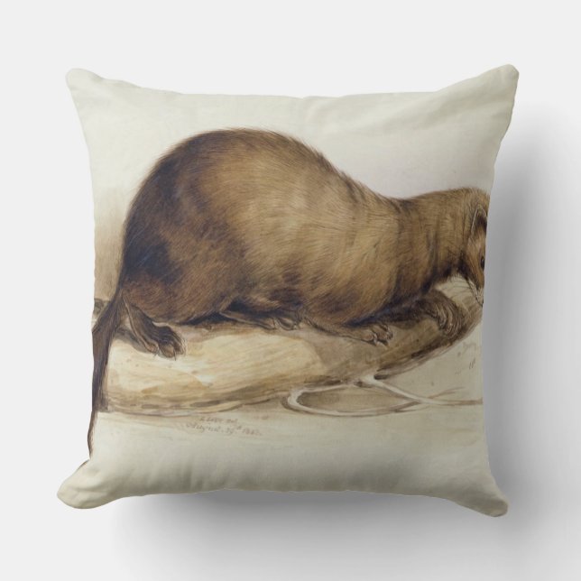 Coussin Une belette, 1832 (la semaine, ove de stylo, (Recto)