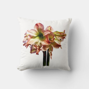 Coussin Une belle Amaryllis rose et blanc