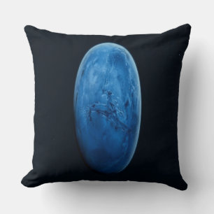 Coussin Une belle planète bleue